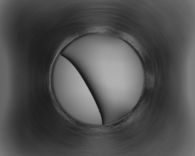 X0000098100994200804040743