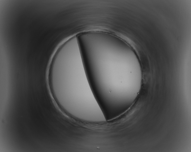 X0000098100995200804040743