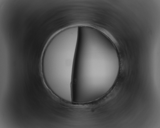 X0000098100996200804040743
