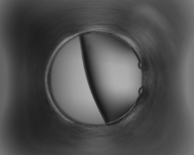 X0000098100999200804040742