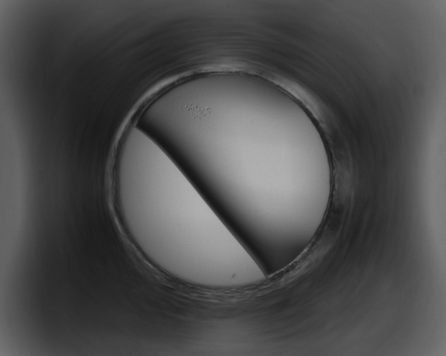 X0000098101000200804040742