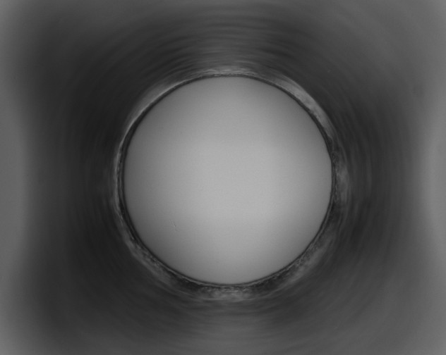 X0000098101002200804040742