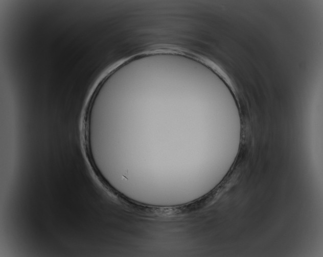 X0000098101003200804040742