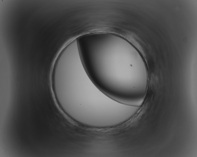 X0000098101005200804040742