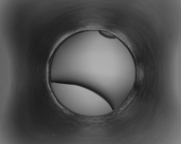X0000098101006200804040742
