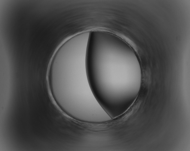 X0000098101007200804040742