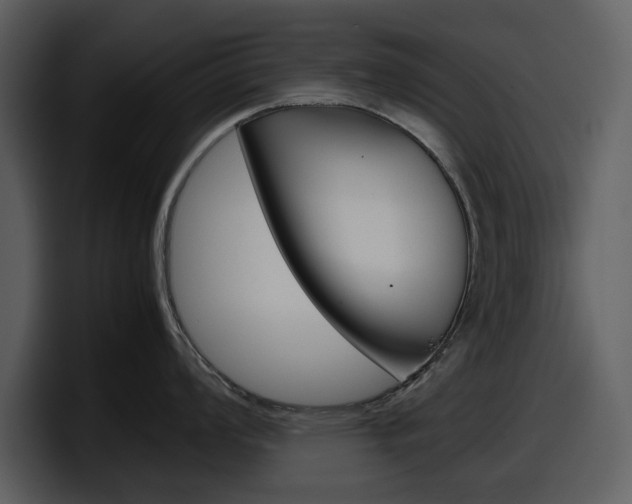 X0000098101008200804040742