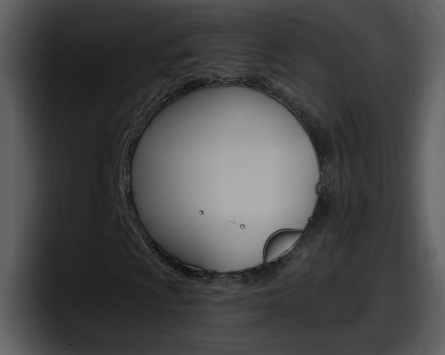 X0000098101009200804040742