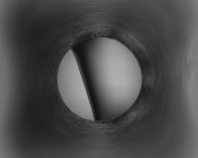 X0000098101010200804040742