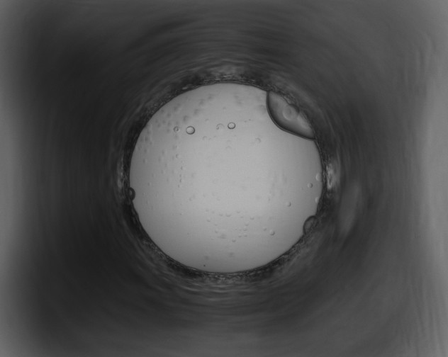 X0000098101011200804040742