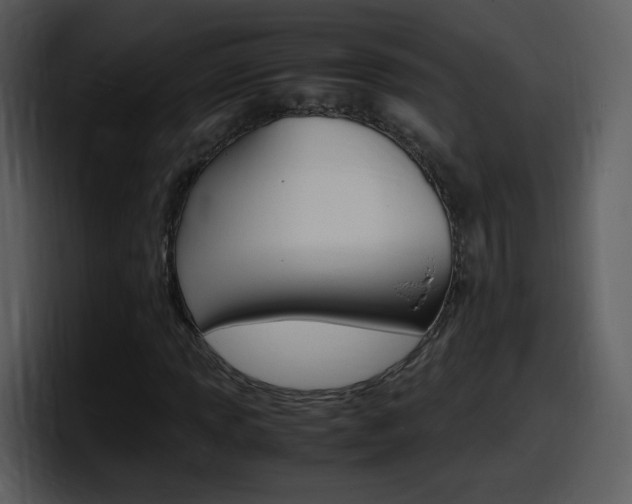 X0000098101013200804040742