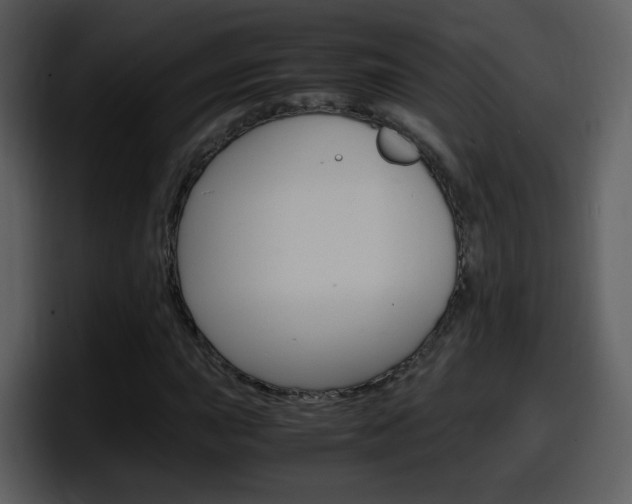 X0000098101015200804040742