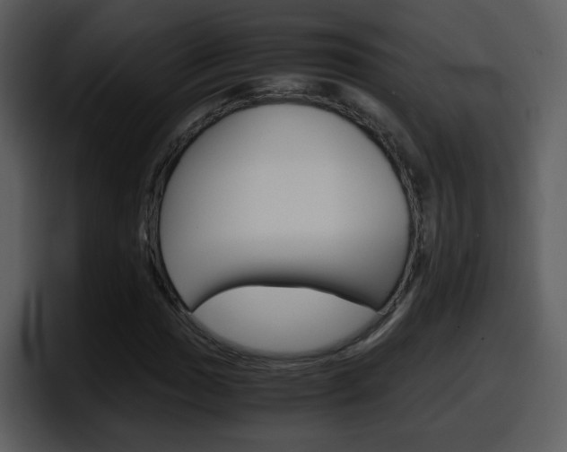 X0000098101017200804040742
