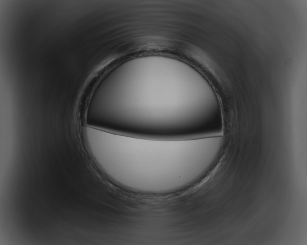 X0000098101018200804040742