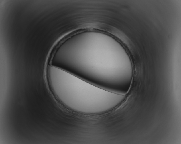 X0000098101020200804040742