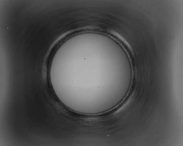 X0000098101021200804040742