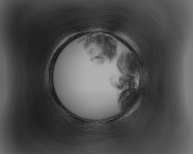 X0000098101023200804040742