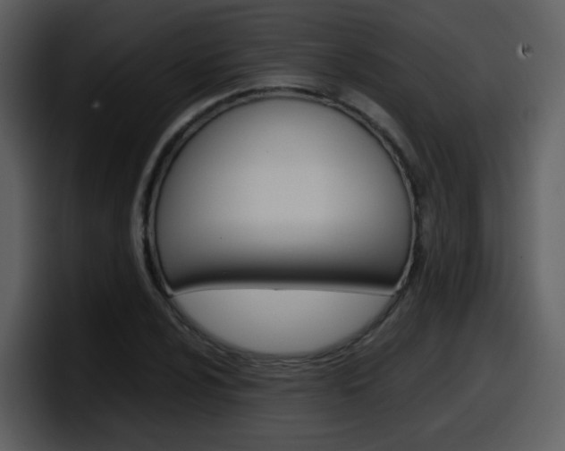 X0000098101024200804040742
