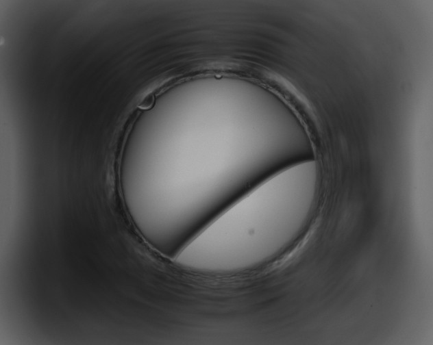 X0000098101025200804040742