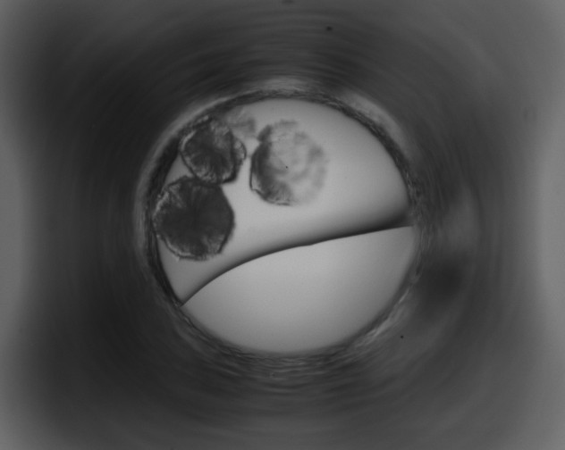 X0000098101027200804040742