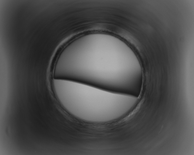 X0000098101029200804040742