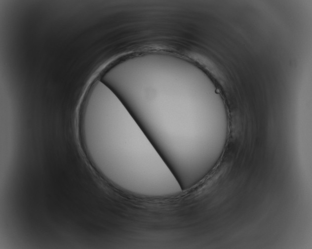 X0000098101031200804040742