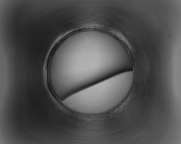 X0000098101032200804040742