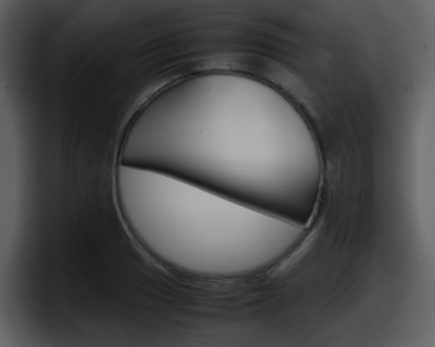 X0000098101033200804040742
