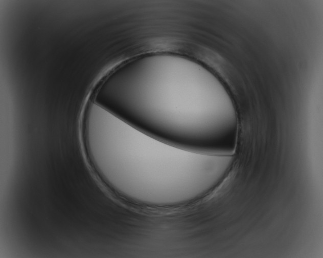 X0000098101034200804040742