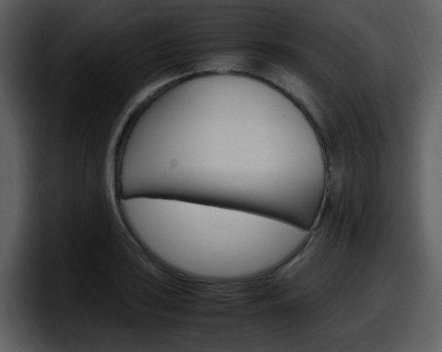 X0000098101035200804040742