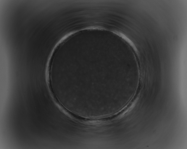X0000098101037200804040742