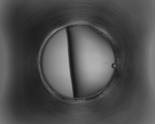 X0000098101038200804040742