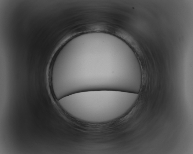 X0000098101039200804040742