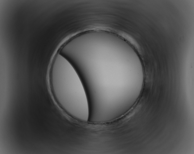 X0000098101040200804040742