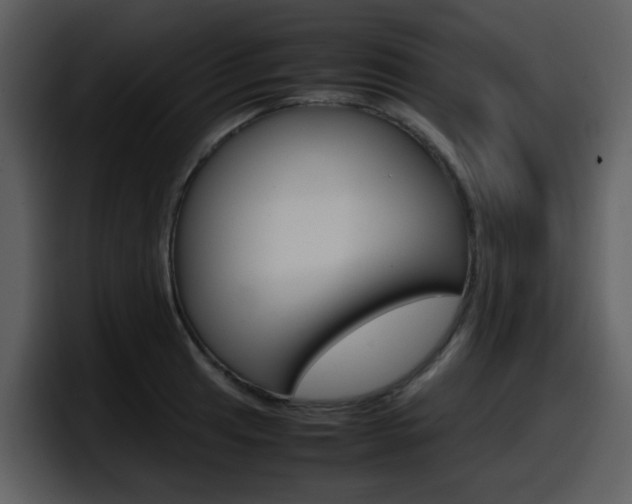 X0000098101041200804040742