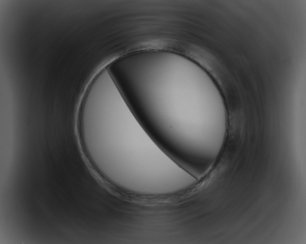 X0000098101042200804040742