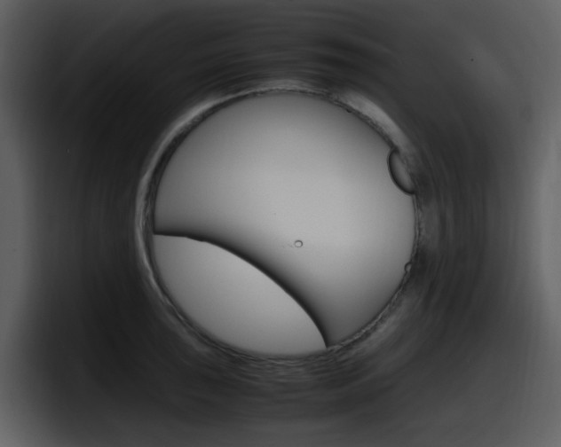 X0000098101043200804040742