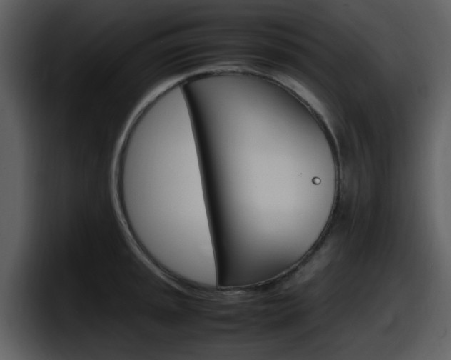 X0000098101045200804040742