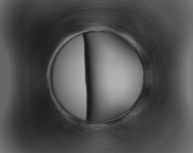 X0000098101046200804040742
