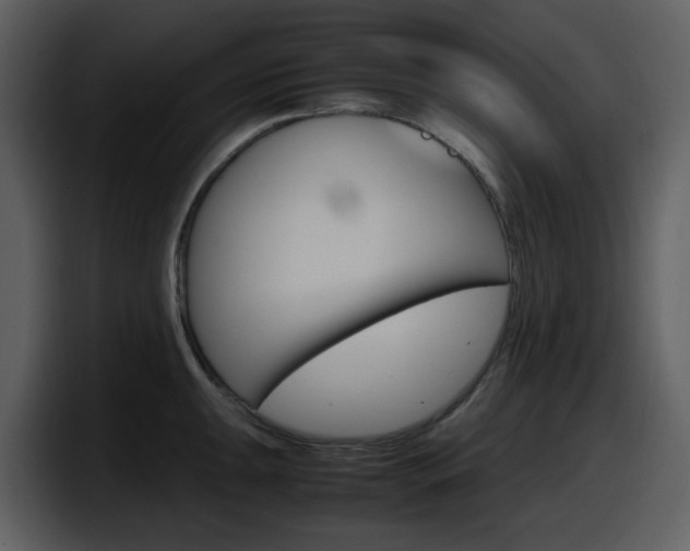 X0000098101047200804040742