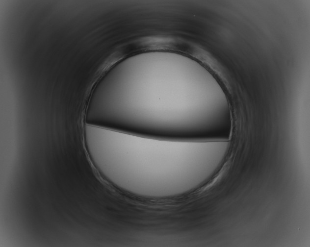 X0000098101049200804040742