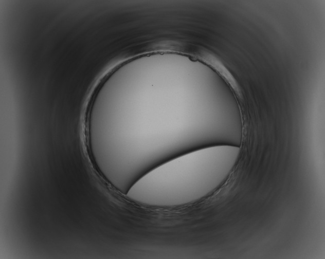 X0000098101051200804040742