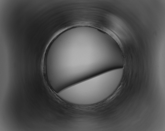 X0000098101052200804040742