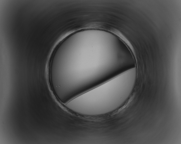 X0000098101053200804040742