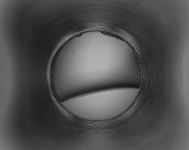 X0000098101054200804040742