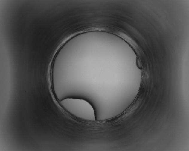 X0000098101055200804040742