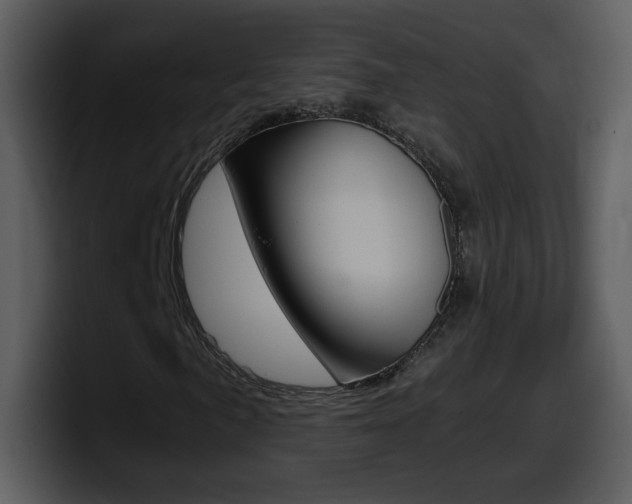 X0000098101057200804040742