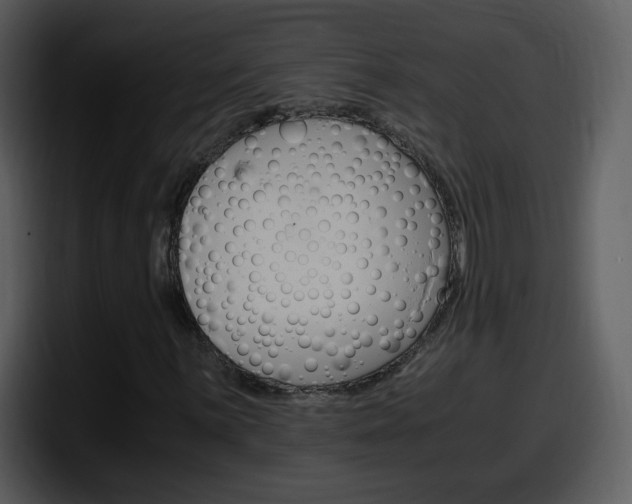 X0000098101059200804040742