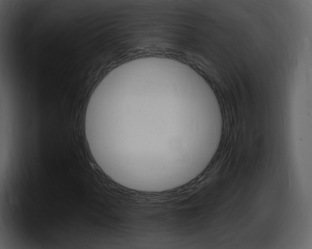 X0000098101060200804040742