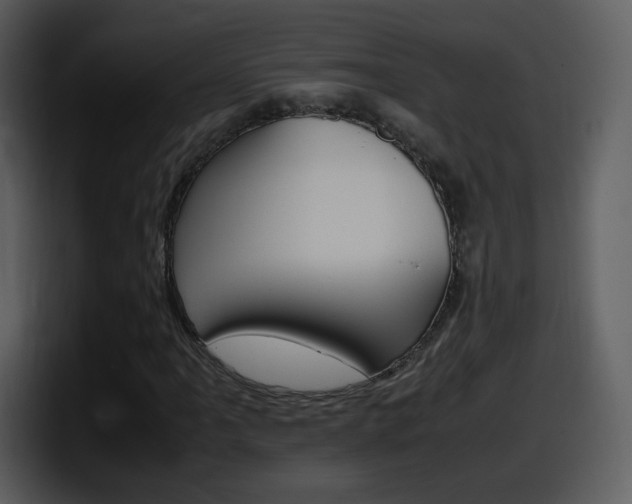 X0000098101061200804040742